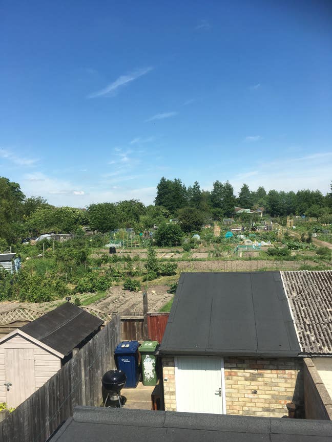 3-bedroom house nr.mill road, available 1st of Sep Main Photo