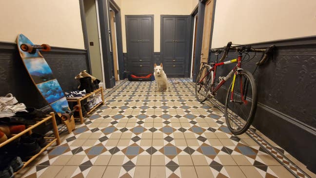 Large room in beautiful flat with 2 class humans  Main Photo