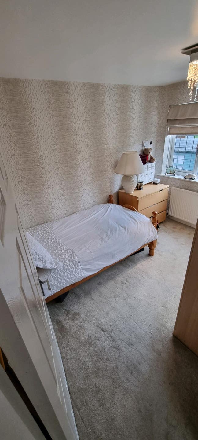 Room to let Main Photo