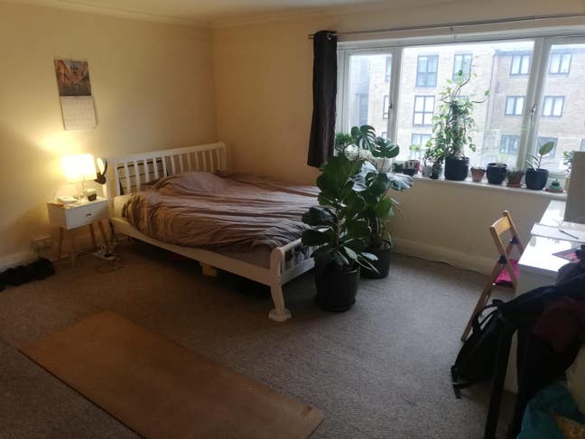 Large double ensuite 10 mins to Lewisham Centre Main Photo