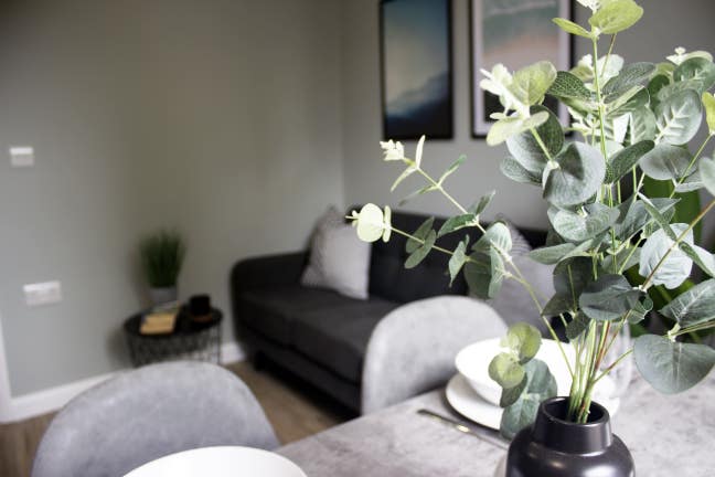 🏡All Inclusive Living Made Easy with Snug 💛 Main Photo