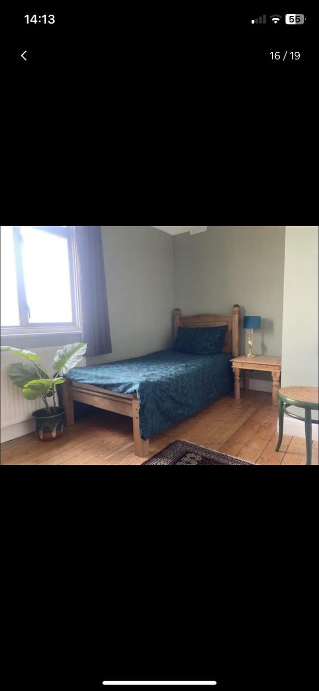 Beautiful single room with 90% sole use of house  Main Photo