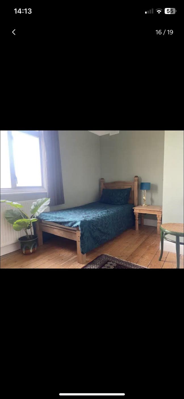 Beautiful single room available  Main Photo