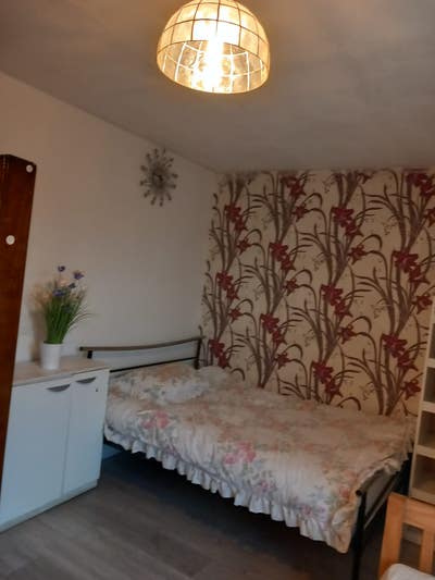Double room for rent  Main Photo