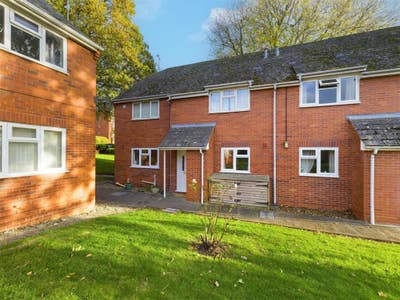 Whole flat - 5 minute walk from City Centre  Main Photo