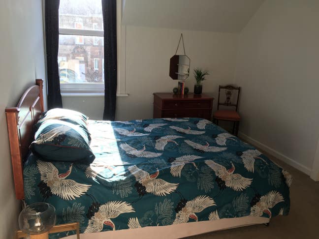 Large room with king sized bed in Trinity Main Photo