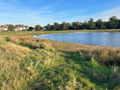 Quiet room Wimbledon village Main Photo