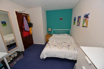Professional Shared House Just Off Archers Road Main Photo