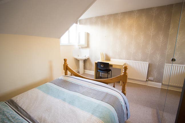 Beautiful room  in Friendly House Main Photo