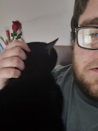 Looking for a place to rent  Main Photo