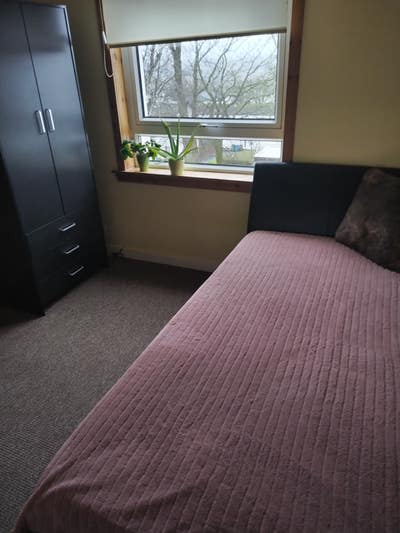 Single room for female Main Photo