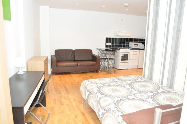 🚨Spacious Studio N Limehouse! Near Canary Wharf Main Photo