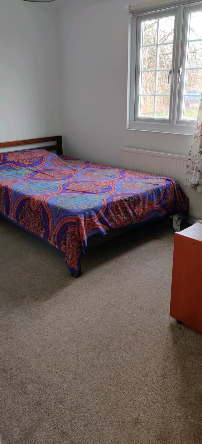 1double room  Main Photo