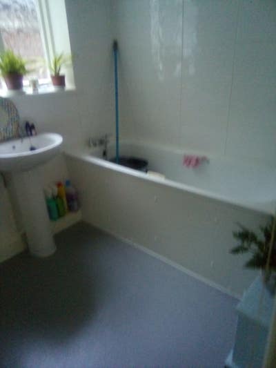 Beautiful Room in Flat with Garden Main Photo