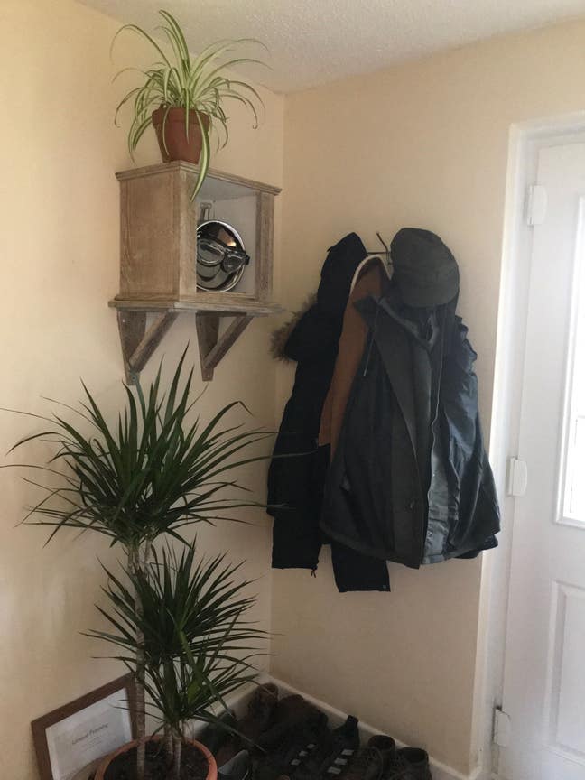 Double room in Falmouth  Main Photo