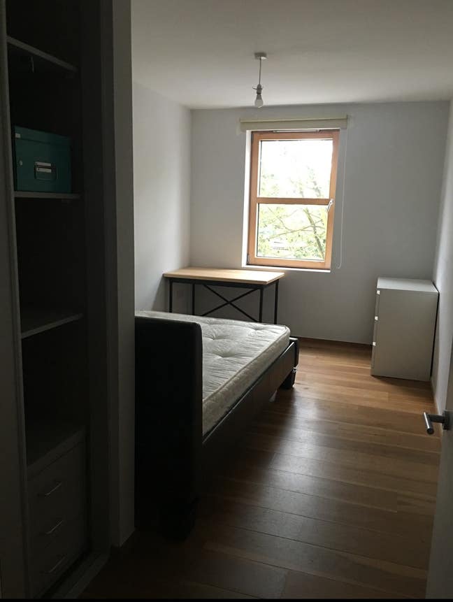 Spacious double room in Holloway - quiet flat Main Photo
