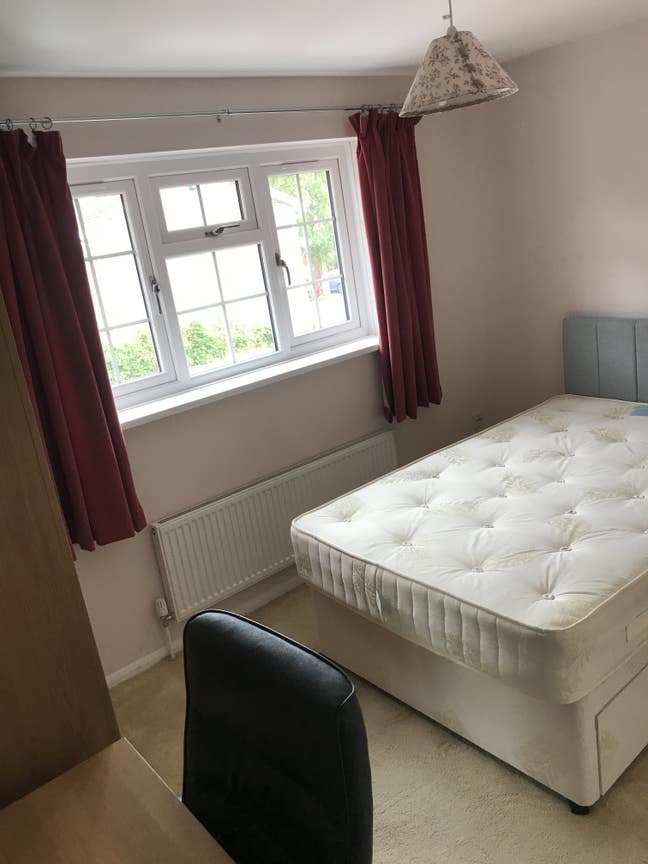 1 room available - LARGE student home Main Photo