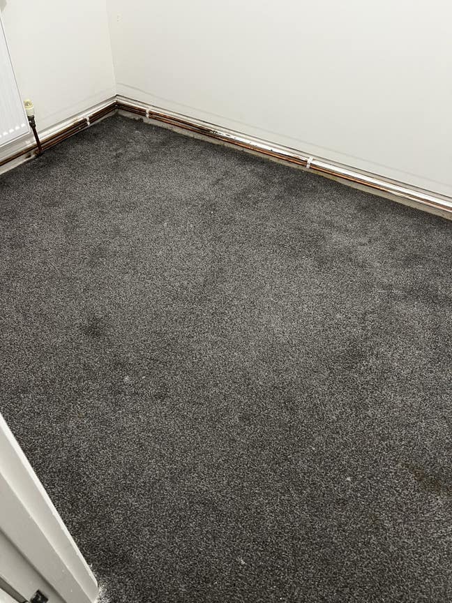 Single Room for Rent Available  Main Photo