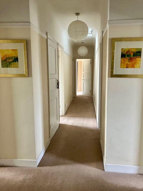 Double for female in Muswell Hill (Northern line) Main Photo