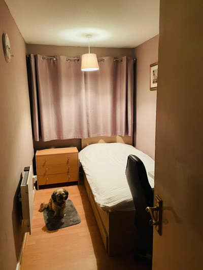 Room in Surrey, London Main Photo