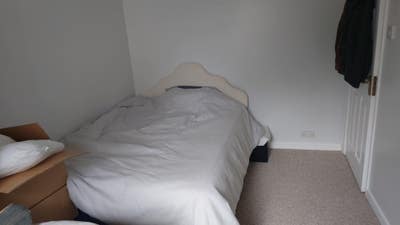 Room in large bungalow 1 mile from Padstow  Main Photo