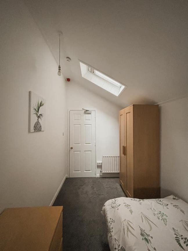 Beautiful medium room Main Photo