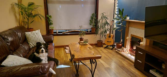 Double room for rent Balloan Rd. Main Photo