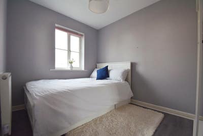 1 Bedroom w/ Separate Bathroom Main Photo