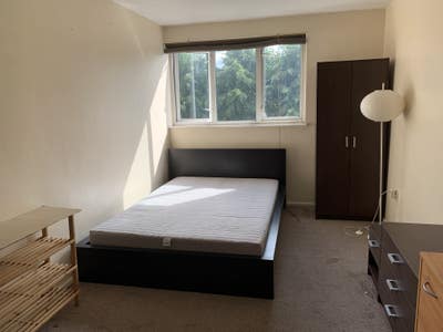 Lovely large double bedroom - Canary Wharf area Main Photo