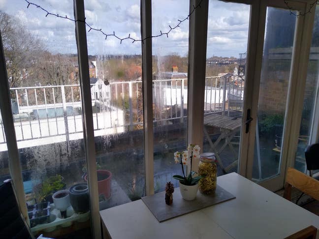 Hampstead flatshare Main Photo
