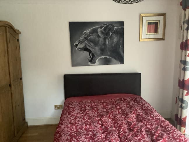 Double Room available in Bassett  Main Photo