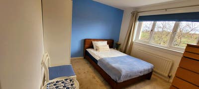 Lovely bright double room in 3 bed house Main Photo