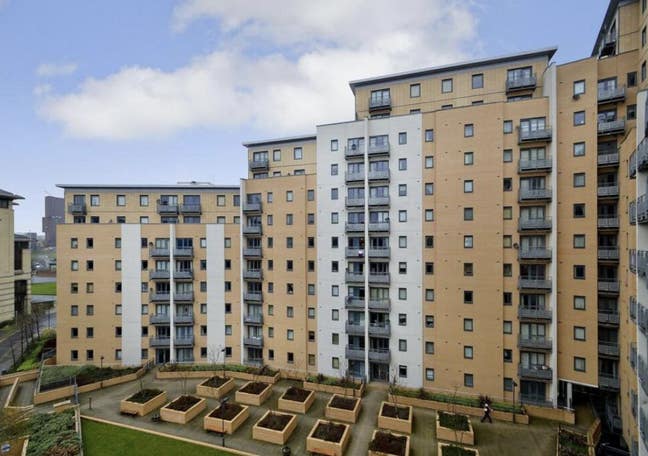 Looking for a flat mate  Main Photo