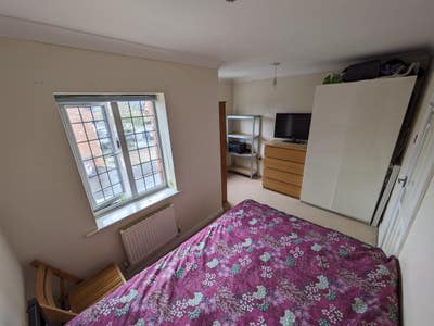 Single Professionals for double room Main Photo