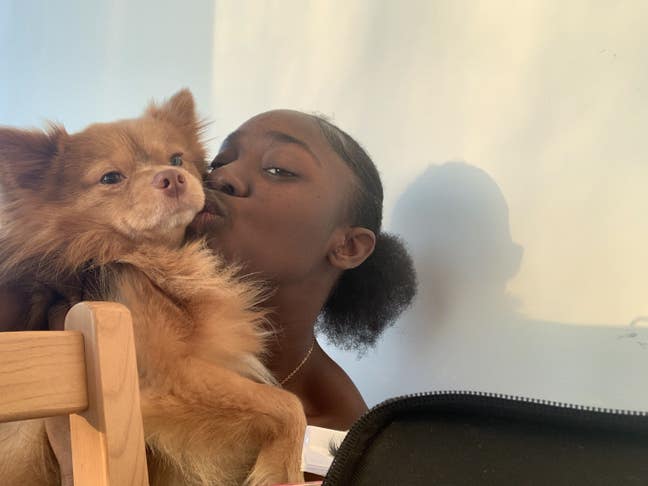 2 bed flat only  Main Photo