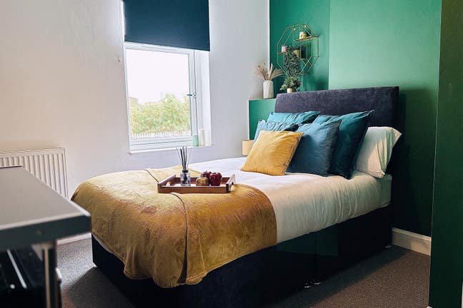 Stylish Room with It's Own Bathroom on Gadsby St Main Photo