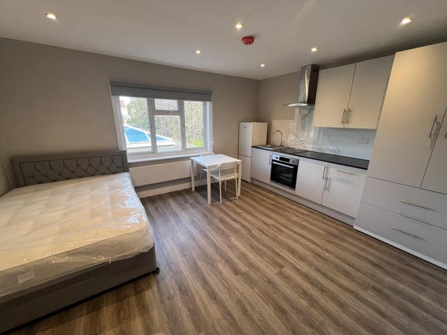 Newly renovated studio apartment Main Photo