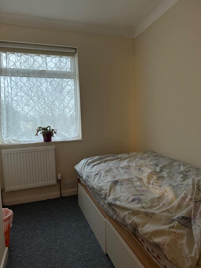 Single bedroom available in area close to center  Main Photo