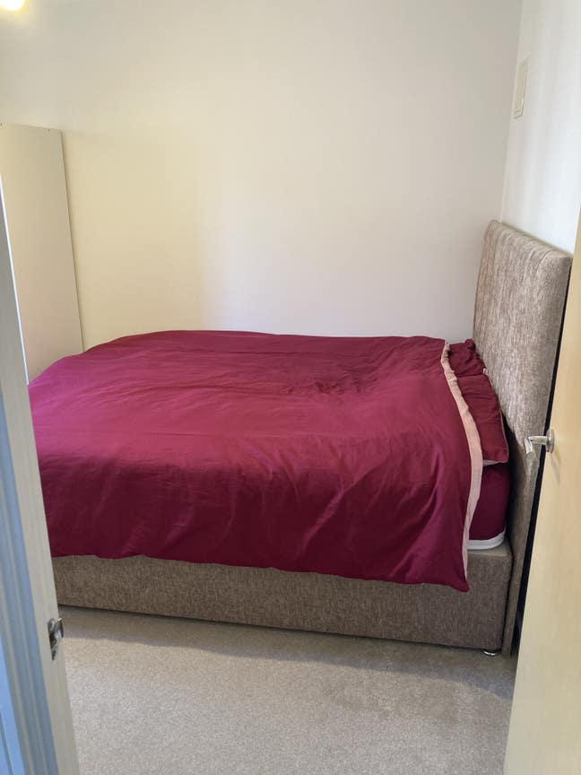 Comfy double room available - Mixed House Share Main Photo