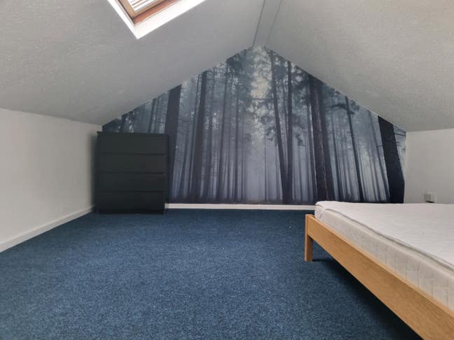 Spacious House Close to the City Centre Main Photo