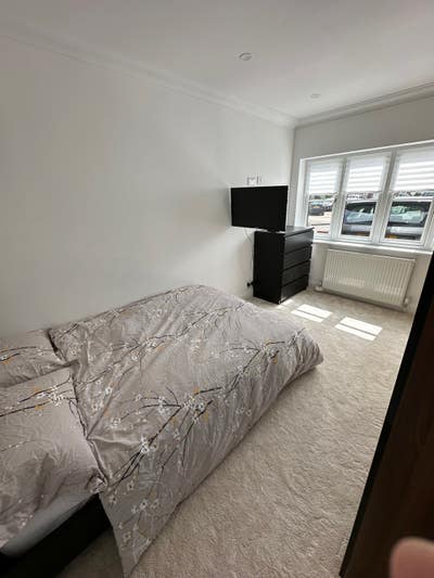 Great Double Room to let  Main Photo
