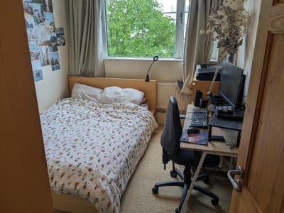 Double room in friendly flatshare Main Photo