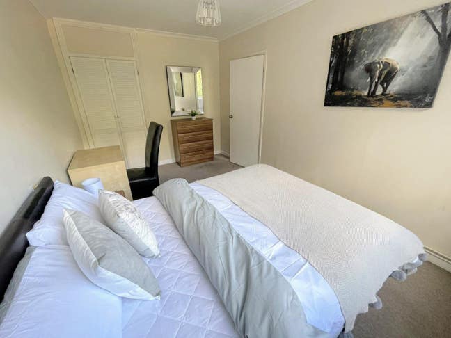 Spacious Room in Putney Available from Nov 2nd! Main Photo