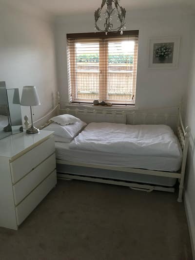 Single room in two bed ground floor flat Main Photo