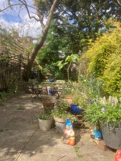 Chill, friendly 5 bed house with a garden Main Photo