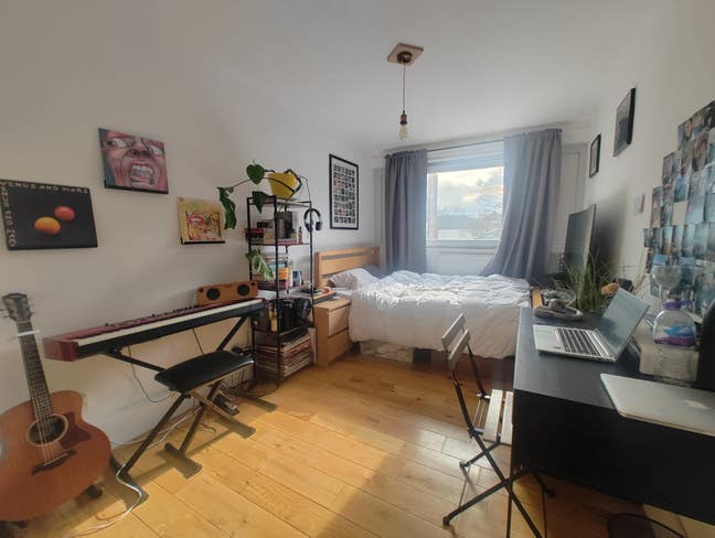 Room in sociable Mile End home!  Main Photo