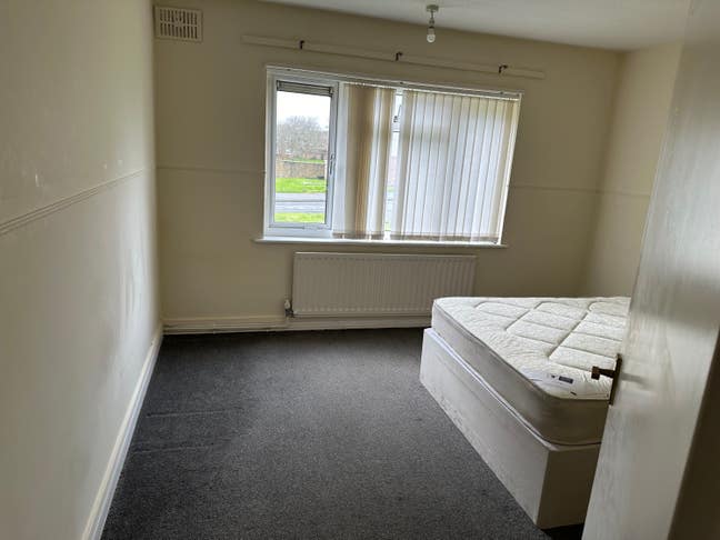 One Double room for rent  Main Photo