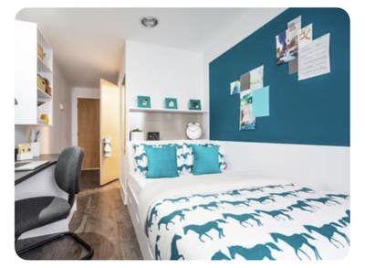 🔥Two en-suites near UOE🔥 Main Photo