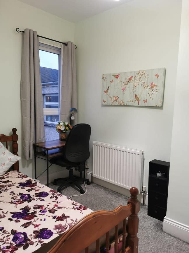 Single Bedroom is Available:  Student/Professional Main Photo