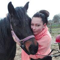 Room, house, flat, bungalow  Main Photo